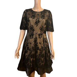 ELIZA J Black Lace Cocktail Dress Size 10 NWT